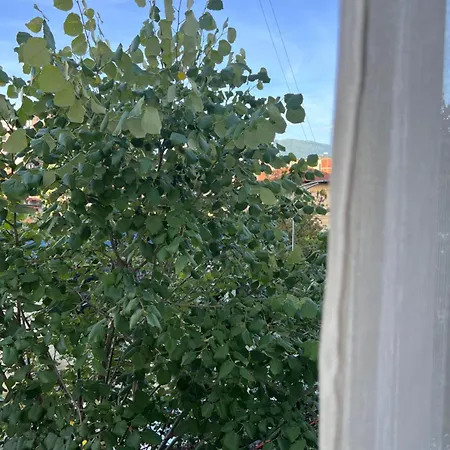 Apartman Stylish With Balcony Tirana